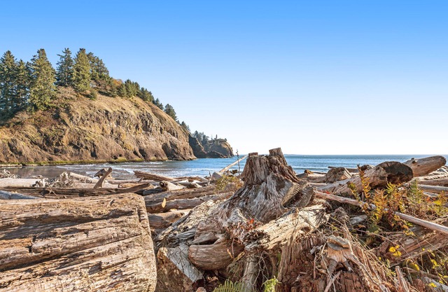 Family-Friendly Cottage with Firepit, Bay Views, Private W/D, & Free WiFi