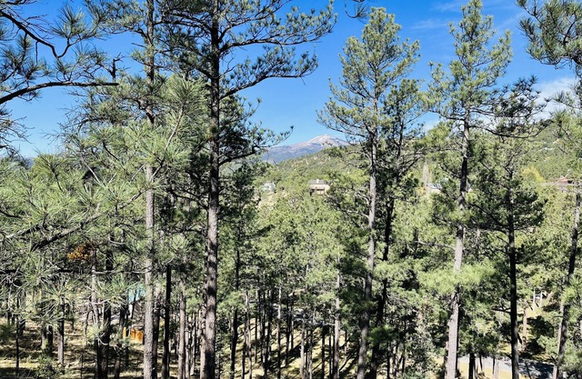 FAMILY FRIENDLY HOUSE! GREAT MOUNTAIN VIEWS! SLEEPS 14