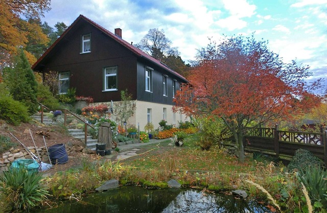 Geräumige Wohnung im Harz nahe Skigebiet