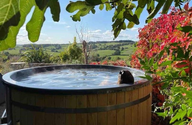 Family Gem in Bath, sleeps 18, stunning view