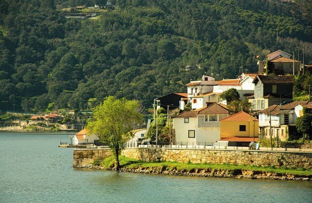 Family Home in the Riverside Douro Paddle Haven - Douro Bay House