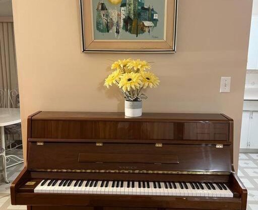 Family Home Stay in Great Location- Walk to Plazas, Restaurants, Transit C2