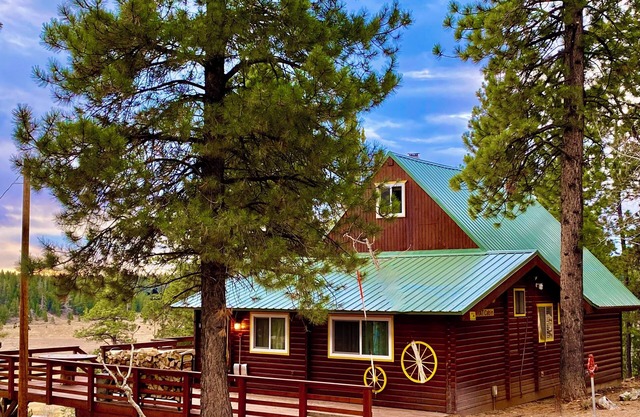 Familien- und tierfreundlich! DIESE Hütte mit einer unglaublichen Aussicht!