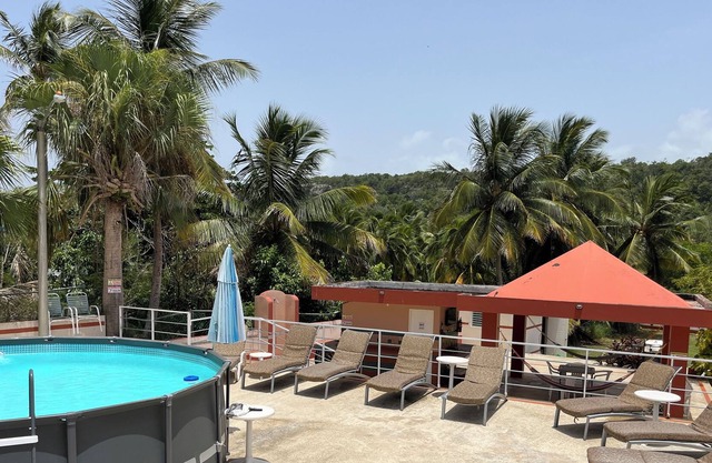 Family Shacks Beaches House Isabela Puerto Rico