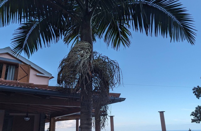 Das Chalet Terra Vieira hat einen Blick auf die Berge und das Meer