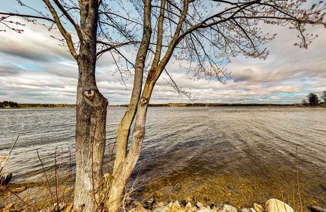 Fantastic two-level home & guest cottage with fast WiFi & lake access - dogs OK