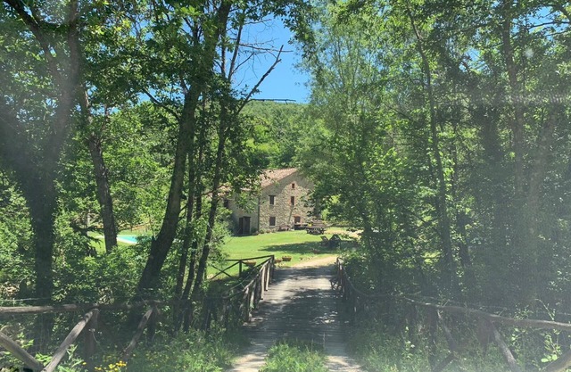 Dieses Bauernhaus im Wald