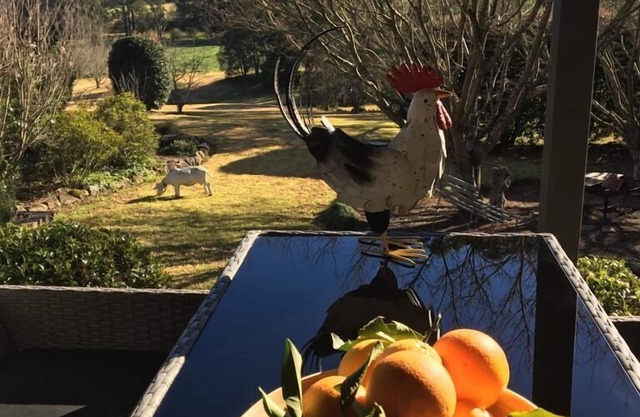 Nanny Goat Hill - Geräumige Kangaroo Valley Escape