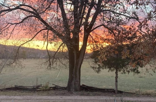 Farm home on 143 beautiful acres