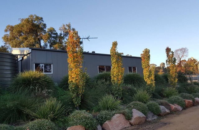 Farm Stay Erfahrung
