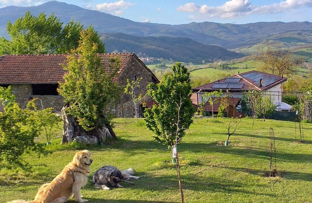 Bauernhof mit umzäunten Garten am Wald FÜR ANSICHTEN WALKING