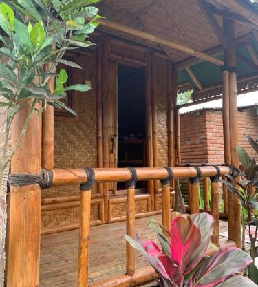 Farmer homestay