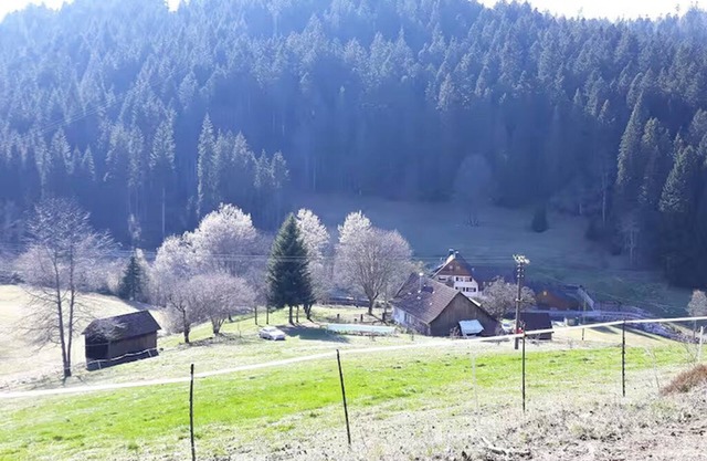 Bauernhaus Schwarzwald Seewald 100% Natur Badesee