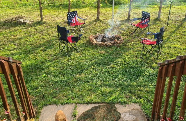 Farmhouse Experience, Must Love Outdoor Cats, Fun Lighting, Soundbar, Starlink