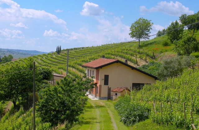 FARMHOUSE IN THE MIDDLE OF THE VINEYARDS IN NIZZA MONFERRATO