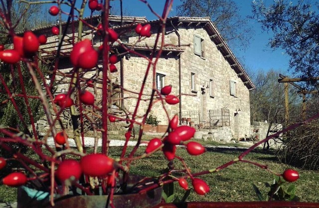 FARM MONTESALCE-BLUE APARTMENT