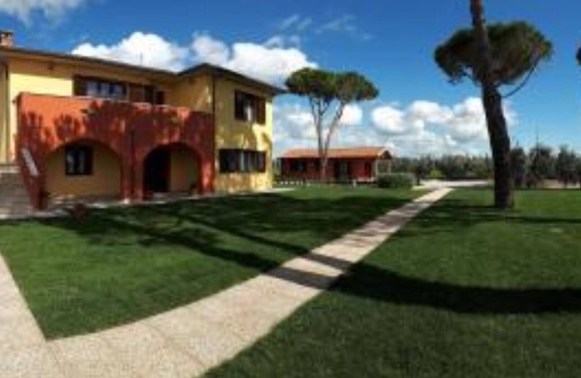 Farmhouse Podere Nonno Gino - Ulivo