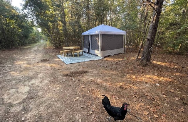 Farmstay- Buckbeak1 Tent/ScreenRoom