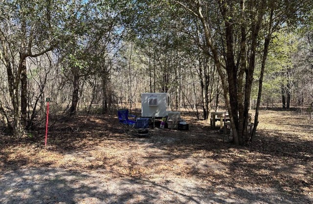 Farmstay- SMALL RV primitive site