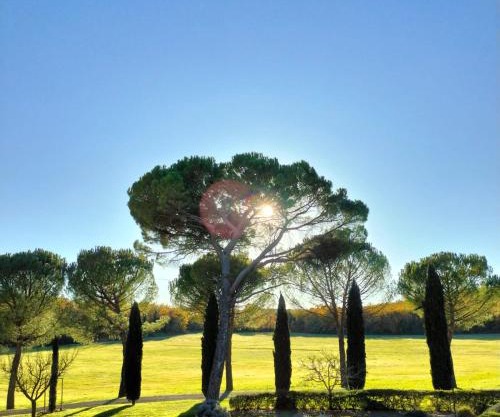 Fattoria Agriturismo Nerbona