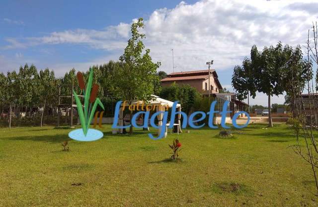 Fattoria Il Laghetto ST. 1