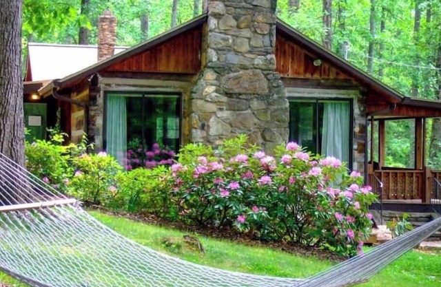 Favorite mountain cabin overlooks trout pond