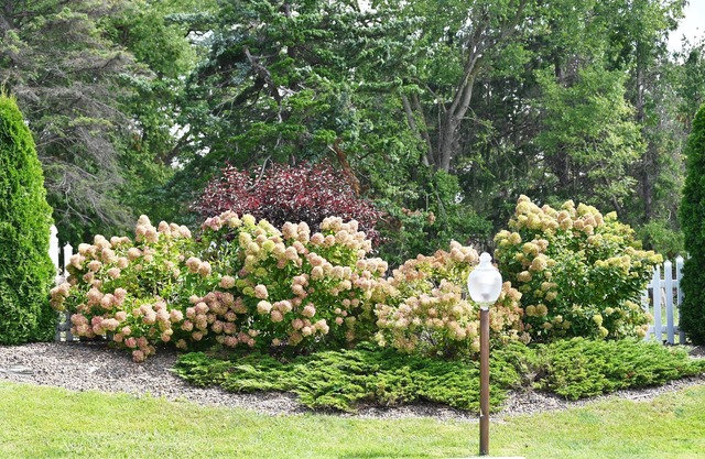 Fellows Creek Lodge