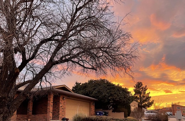 Fenced yard, Office, and Coffee bar! Come stay in this peaceful ABQ home!