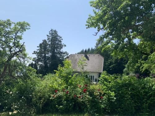 Ferienhäusle 1a
