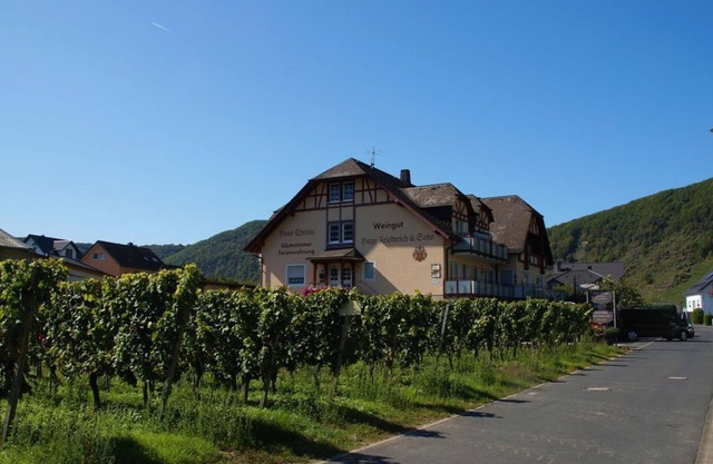 Ferienweingut Hugo Friederich & Sohn - Doppelzimmer