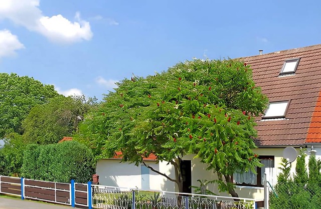 Ferienwohnung Wesenberg