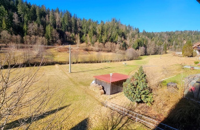 Ferienwohnung Schwarzwaldsegen mit Balkon
