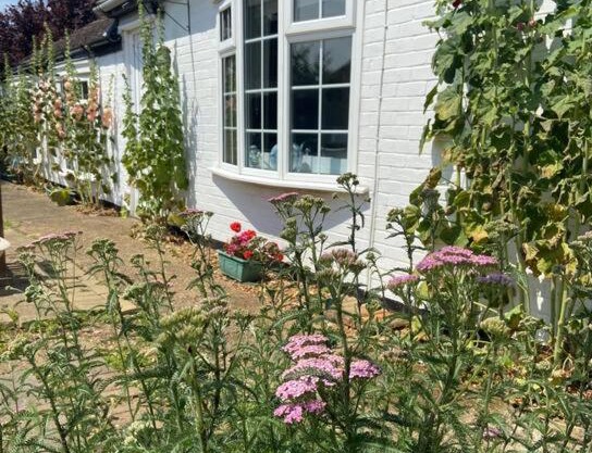 Field Cottage