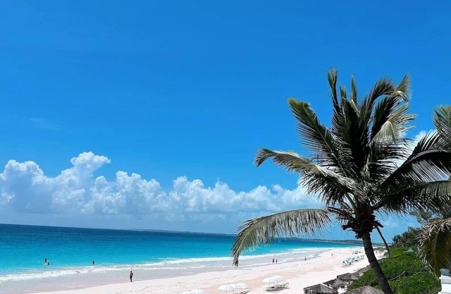 Fig Tree Harbour Island 3 Bedroom Home