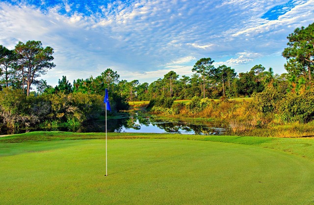 Final Flag Villa 1b/1b