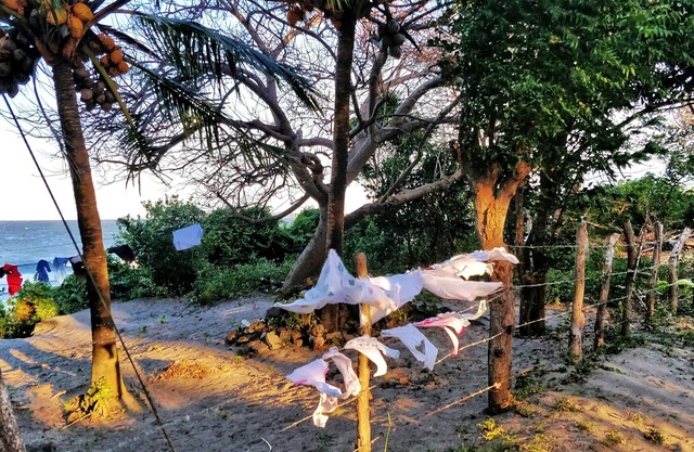 Finca del Sol Eco Lodge