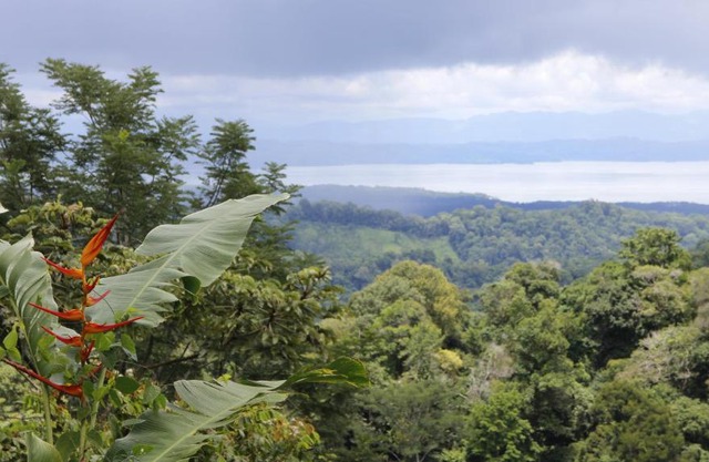 Finca Sueno de Osa