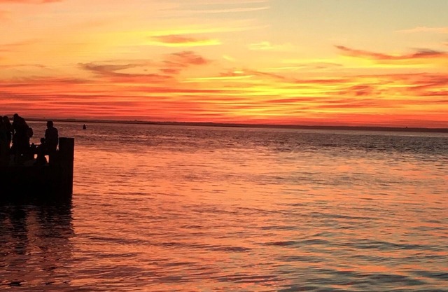 Fire Island Beach House