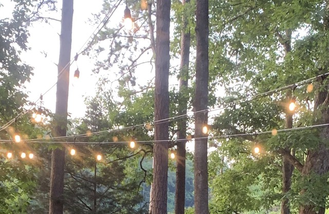 FireflyCoveonLakeHartwell! Sleeps 16!!