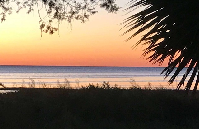 Fischkiemen | Keaton Beach Vacation Rentals LLC Florida Golfküste