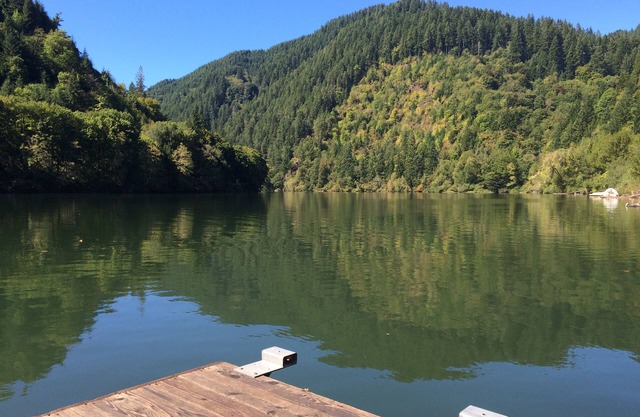Schwimmen, Fischen, Entspannen - Gemütliche 2bd-Hütte am Fluss Umpqua, umzäunt 1,5 ha