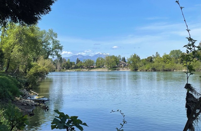 Fische am Sacramento River!