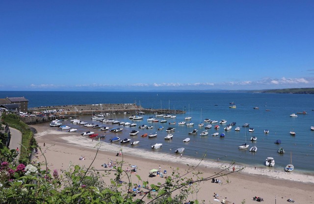 FISHERMAN'S COTTAGE, pet friendly, with a garden in New Quay