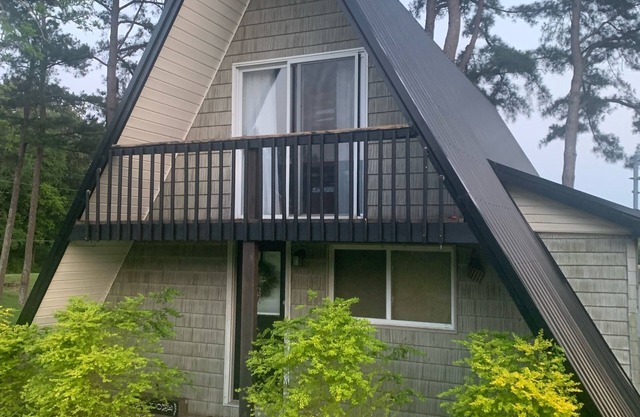Charming 3-bedroom lake house with WiFi, AC in lovely Springville, TN.
