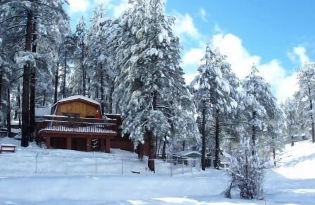 Flagstaff Cozy Cabin