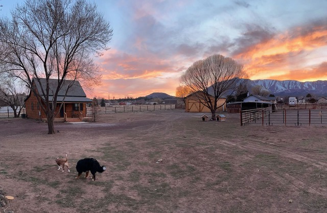 Flagstaff pet friendly cabin fenced on >2 acres w/grill, porch & mountain views!