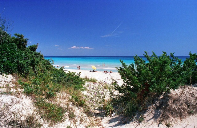 Ferienwohnung am Strand in Apulien