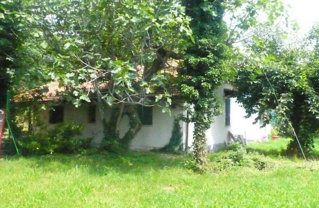 flaviana's house