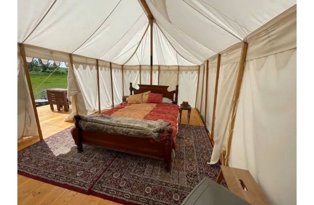 Fleur-de-lis - tent at Good Knights Medieval