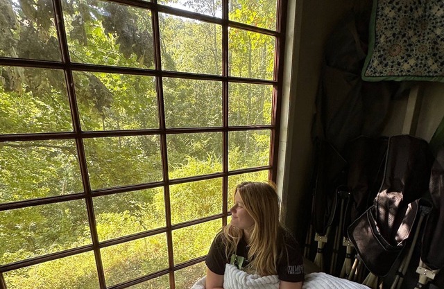 Floating Heaven: Treehouse Lodging with 'casita' and a View